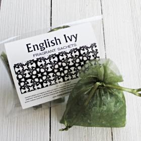 English Ivy Sachets, 2pc package