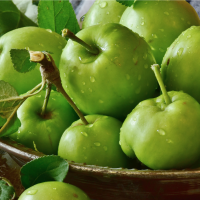 Green Apple Tinned Candle