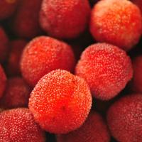 Bayberry Nuggets™, Classic 2oz size