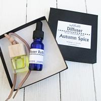 Car Diffuser, PLUS refill 