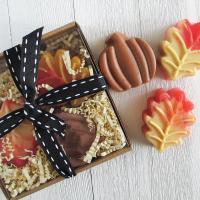 Limited Edition Fall Soap Gift Set