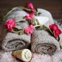 Spa Day Deluxe Plus Reed Diffuser