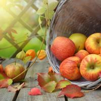 Apple Harvest Soap