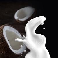 Vanilla Coconut Roll On Perfume