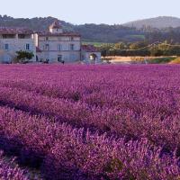 Lavender Deluxe Plus Scent Diffuser