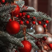 Christmas & Winter Tinned Candles