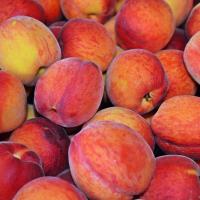 Fresh Peach Lip Balm