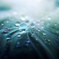 Spring Rain Body Wash