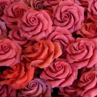 Rose Petals Body Wash
