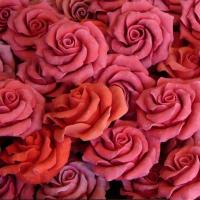 Rose Petals Bubble Wash