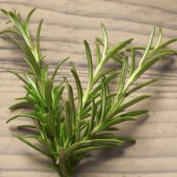 Rosemary Mint Reed Diffuser