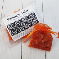 Pumpkin Spice Sachets, 2pc set, Coquette Bath & Home™