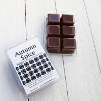 Fall Favorites Wax Melts, Classic Size
