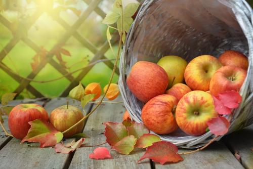 Apple Harvest Soap