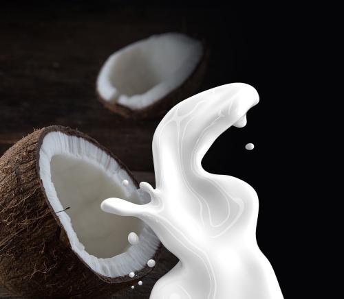 Vanilla Coconut Roll On Perfume