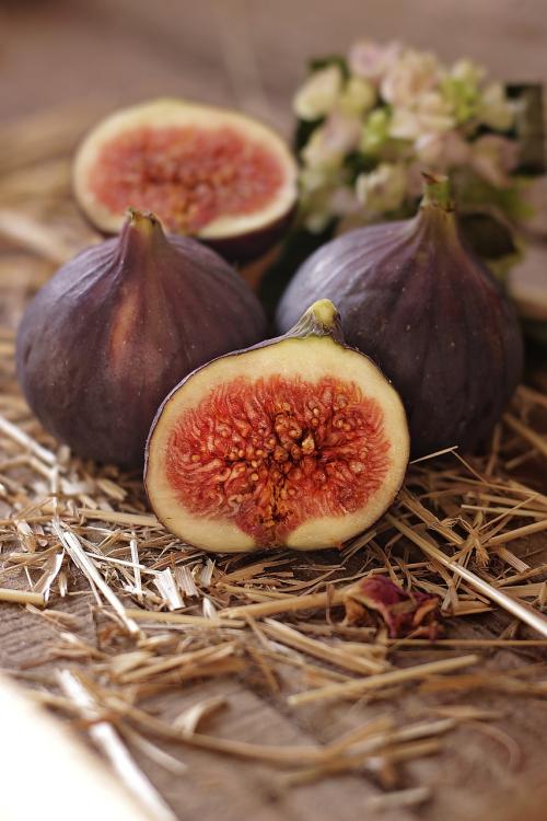 French Fig Jar Candle