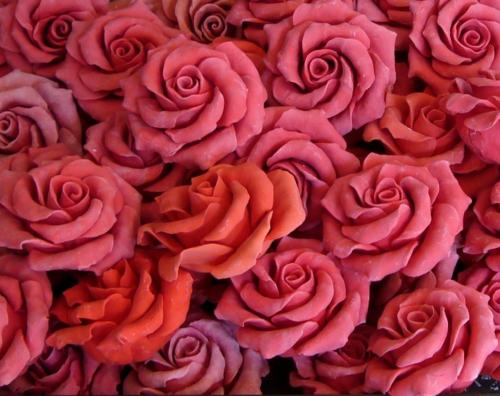 Rose Petals Bubble Wash