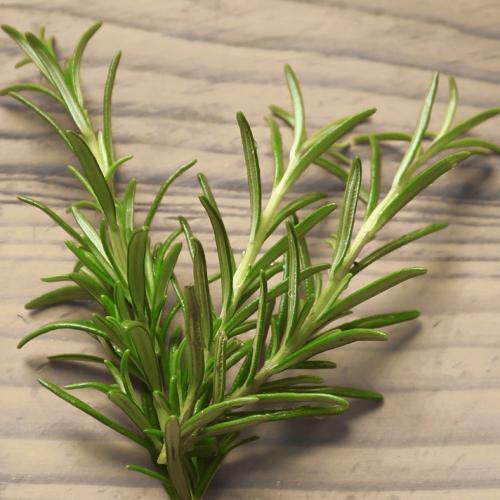 Rosemary Mint Reed Diffuser