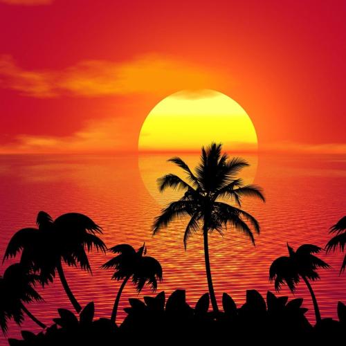 Tropicale Sachets, 2pc package