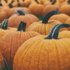 Fantasic Fall Jar Candles