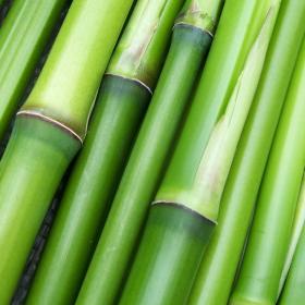 Green Bamboo Jar Candle