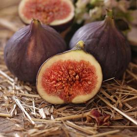 French Fig Jar Candle