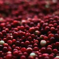 Cranberry Jar Candle