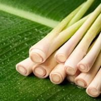 Lemongrass Jar Candle