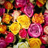 Rose Petals Jar Candle