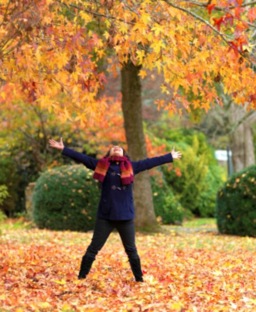 Hello Fall! Sachets, 2pc package