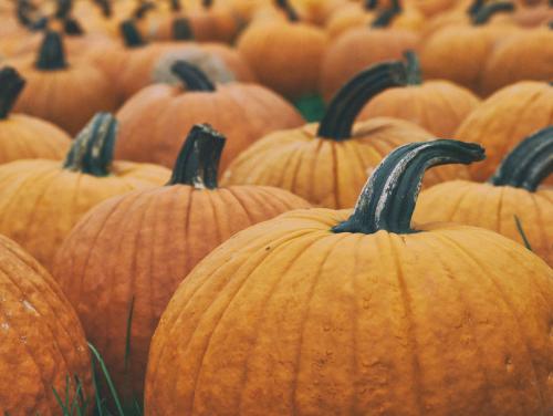 Fantasic Fall Jar Candles