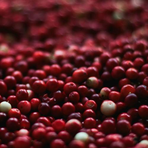 Cranberry Jar Candle