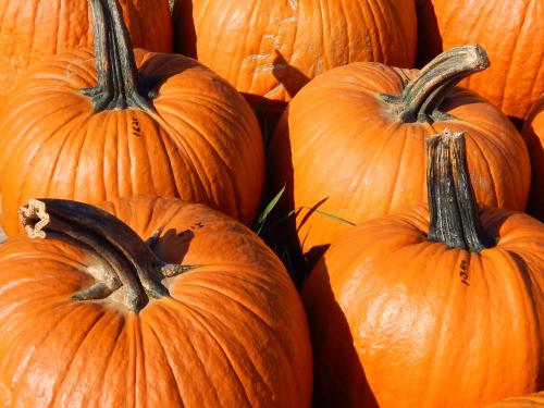 Pumpkin Brulee Jar Candle