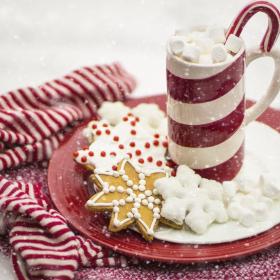 Christmas & Winter Tinned Candles