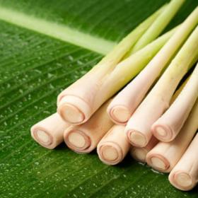 Lemongrass Jar Candle